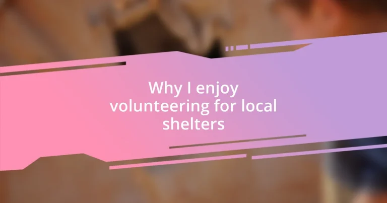 Why I enjoy volunteering for local shelters